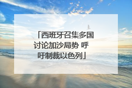 西班牙召集多国讨论加沙局势 呼吁制裁以色列