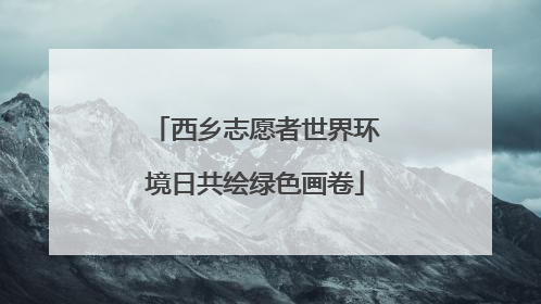 西乡志愿者世界环境日共绘绿色画卷