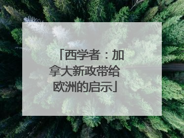 西学者：加拿大新政带给欧洲的启示