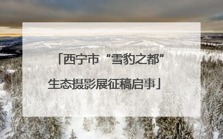 西宁市“雪豹之都”生态摄影展征稿启事