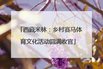西藏米林：乡村赛马体育文化活动圆满收官