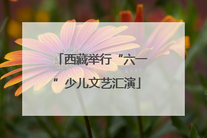 西藏举行“六一”少儿文艺汇演