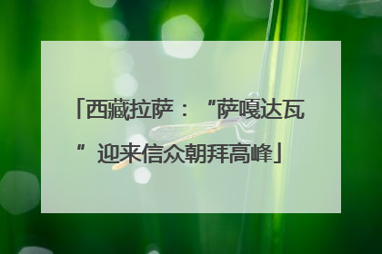 西藏拉萨：“萨嘎达瓦”迎来信众朝拜高峰