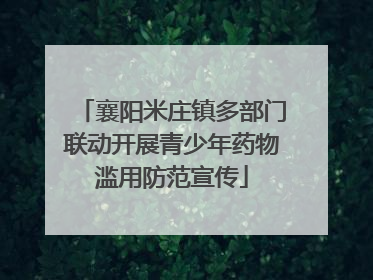 襄阳米庄镇多部门联动开展青少年药物滥用防范宣传
