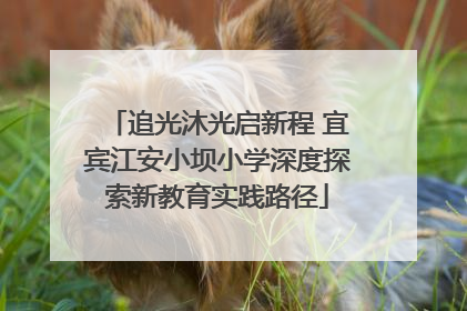 追光沐光启新程 宜宾江安小坝小学深度探索新教育实践路径