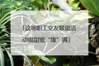 这场职工交友联谊活动很甜蜜“缘”满