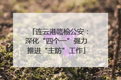 连云港赣榆公安：深化“四个一”强力推进“主防”工作