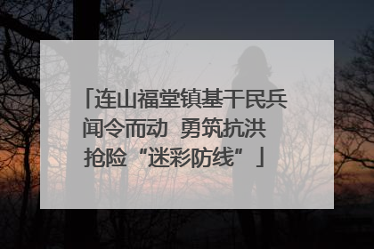连山福堂镇基干民兵闻令而动  勇筑抗洪抢险“迷彩防线”
