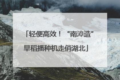 轻便高效！“南漳造”旱稻播种机走俏湖北