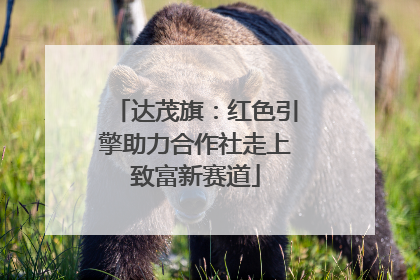 达茂旗：红色引擎助力合作社走上致富新赛道