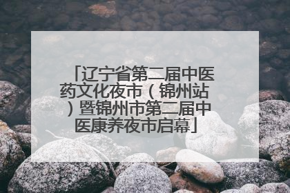 辽宁省第二届中医药文化夜市（锦州站）暨锦州市第二届中医康养夜市启幕