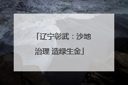 辽宁彰武：沙地治理 造绿生金