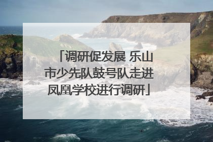 调研促发展 乐山市少先队鼓号队走进凤凰学校进行调研