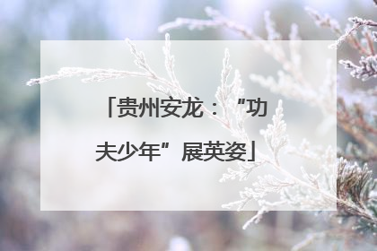 贵州安龙：“功夫少年”展英姿