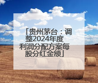 贵州茅台：调整2024年度利润分配方案每股分红金额
