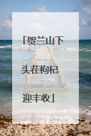 贺兰山下 头茬枸杞迎丰收