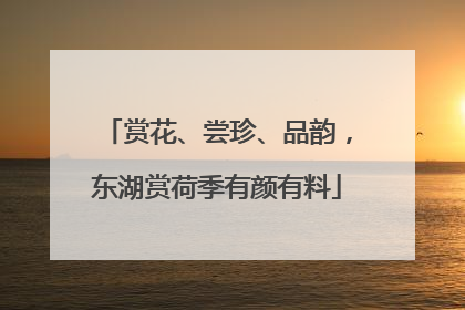 赏花、尝珍、品韵，东湖赏荷季有颜有料