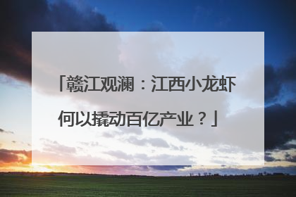 赣江观澜：江西小龙虾何以撬动百亿产业？
