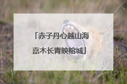 赤子丹心越山海 嘉木长青映榕城