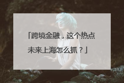 跨境金融，这个热点未来上海怎么抓？