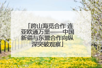 跨山海觅合作 连亚欧通万里——中国新疆与东盟合作向纵深突破观察