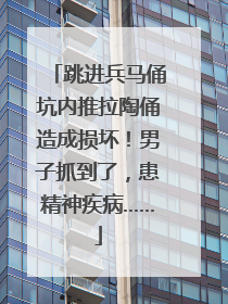 跳进兵马俑坑内推拉陶俑造成损坏！男子抓到了，患精神疾病……