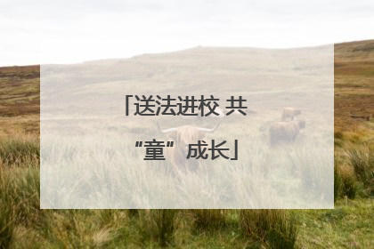 送法进校 共“童”成长