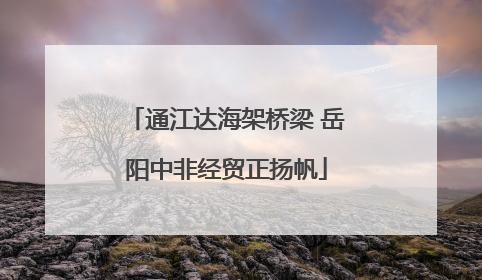 通江达海架桥梁 岳阳中非经贸正扬帆