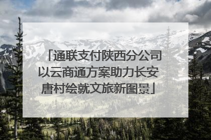 通联支付陕西分公司以云商通方案助力长安唐村绘就文旅新图景