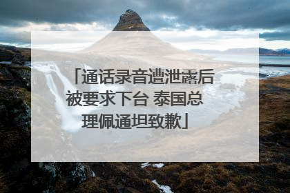 通话录音遭泄露后被要求下台 泰国总理佩通坦致歉