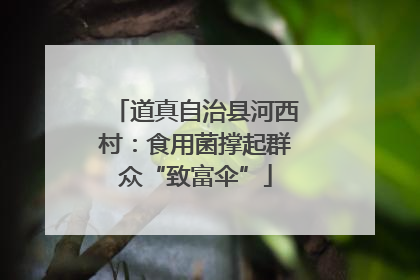 道真自治县河西村：食用菌撑起群众“致富伞”