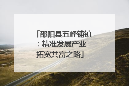 邵阳县五峰铺镇：精准发展产业 拓宽共富之路