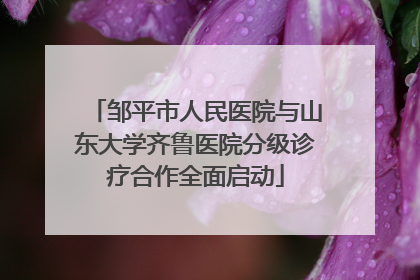 邹平市人民医院与山东大学齐鲁医院分级诊疗合作全面启动