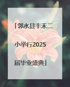 邻水县丰禾二小举行2025届毕业盛典
