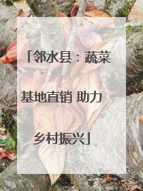 邻水县：蔬菜基地直销 助力乡村振兴