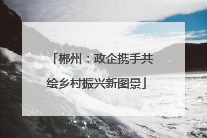 郴州：政企携手共绘乡村振兴新图景