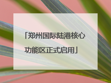 郑州国际陆港核心功能区正式启用