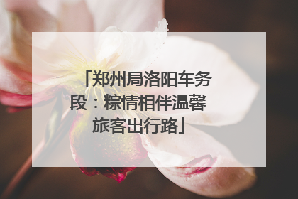 郑州局洛阳车务段：粽情相伴温馨旅客出行路