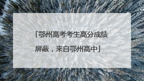 鄂州高考考生高分成绩屏蔽，来自鄂州高中