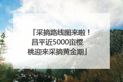 采摘路线图来啦！昌平近5000亩樱桃迎来采摘黄金期