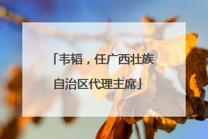 韦韬，任广西壮族自治区代理主席
