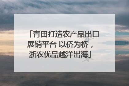 青田打造农产品出口展销平台 以侨为桥，浙农优品越洋出海