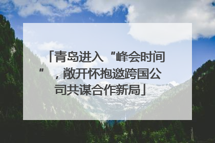 青岛进入“峰会时间”，敞开怀抱邀跨国公司共谋合作新局