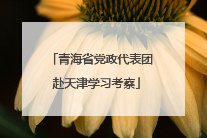 青海省党政代表团赴天津学习考察