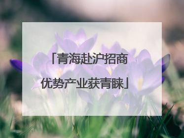 青海赴沪招商 优势产业获青睐