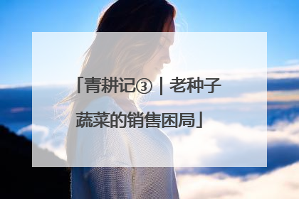 青耕记③｜老种子蔬菜的销售困局