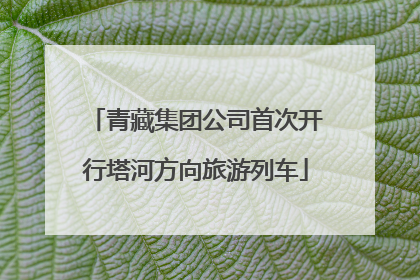 青藏集团公司首次开行塔河方向旅游列车