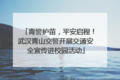 青警护苗，平安启程！武汉青山交警开展交通安全宣传进校园活动