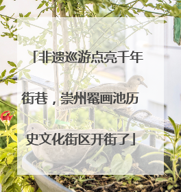 非遗巡游点亮千年街巷，崇州罨画池历史文化街区开街了