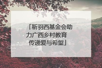 靳羽西基金会助力广西乡村教育 传递爱与希望